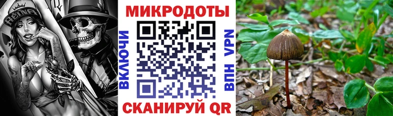 блэк спрут зеркало  купить наркотики сайты  Шацк  Псилоцибиновые грибы прущие грибы 